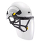 Face shield for Vertex and Alveo helmets